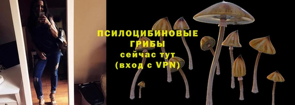 прущие грибы Арсеньев