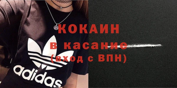 сатива Армянск